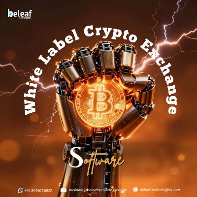 Crypto Exchange Startup Strategies for High Growth Success